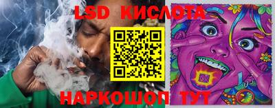 шишки Конаково