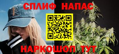 шишки Конаково