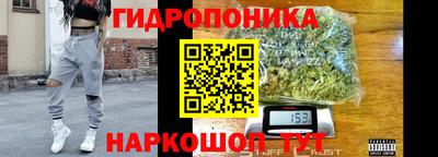 apvp Коммунар