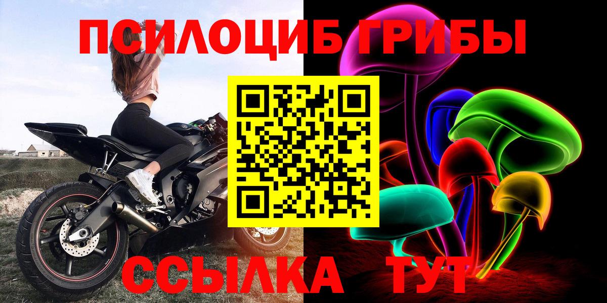 Псилоцибиновые грибы прущие грибы Кизилюрт
