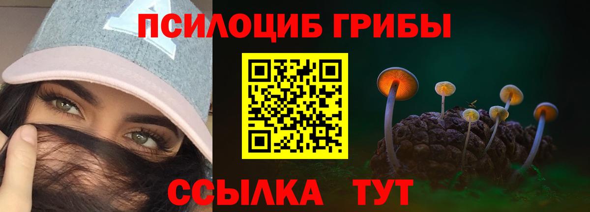 Псилоцибиновые грибы GOLDEN TEACHER  Вход с VPN  Кизилюрт 